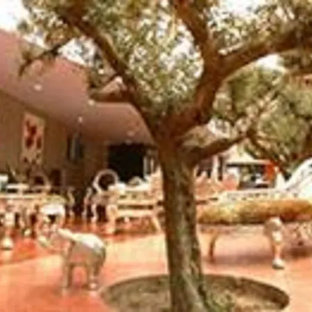 Cowool Lille D'ascq - Ex Olivarius 3* Villeneuve-d'Ascq